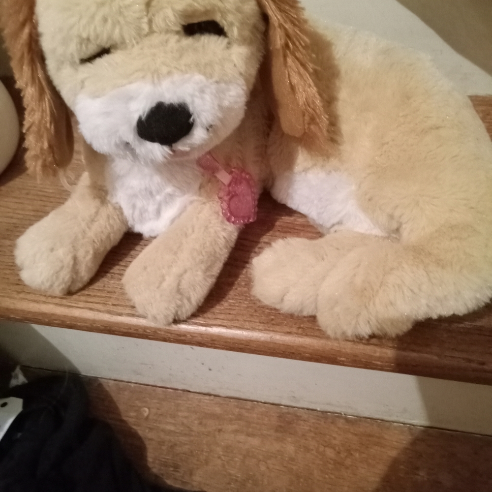 Golden Retriever puppy animated realistic Puppy surprise